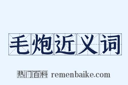 毛炮近义词是什么意思的图片